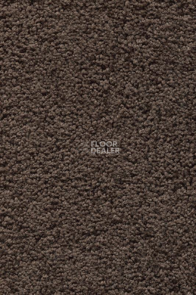 Ковролин AW Devotion 44 фото 1 | FLOORDEALER